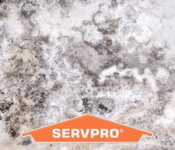 servpro logo over mold